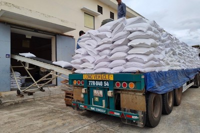 Ngành Dự trữ Nhà nước chủ động ứng phó với cơn bão số 5