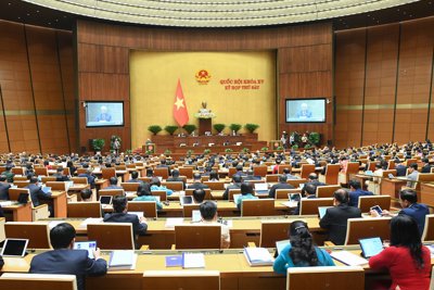 Tiếp tục có các giải pháp hiệu quả hơn nữa hỗ trợ người dân, doanh nghiệp phục hồi phát triển kinh tế
