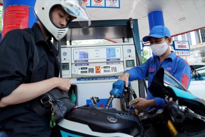 VCCI ủng hộ đề xuất giảm 50% thuế bảo vệ môi trường xăng dầu