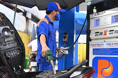 Xây dựng Nghị quyết về mức thuế bảo vệ môi trường năm 2024 với xăng, dầu theo thủ tục rút gọn