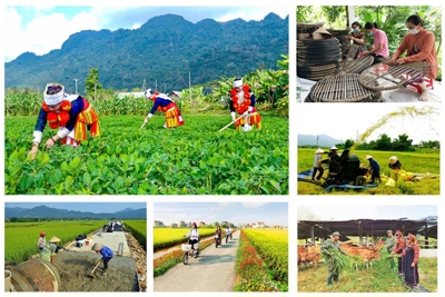Nhiều kết quả tích cực đạt được trong thực hiện các chương trình mục tiêu quốc gia