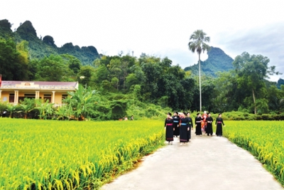 Tích cực tháo gỡ khó khăn, vướng mắc khi thực hiện các Chương trình mục tiêu quốc gia