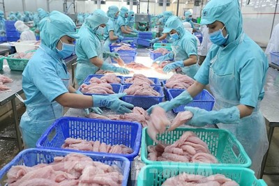 Chủ động tìm hiểu thị trường, tăng cơ hội xuất khẩu thủy sản sang Vương quốc Anh
