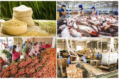 Xuất khẩu nông lâm thuỷ sản năm 2023 sẽ về đích