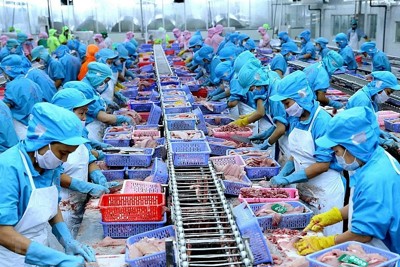 Xuất khẩu thủy sản “tấn công” vào các thị trường ngách