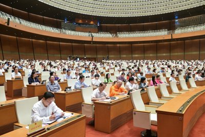 Chỉ nên quy định những tiêu chí căn bản, khả thi, không quy định cứng