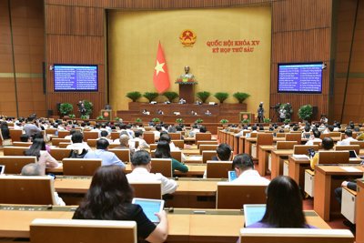 Nhiều đại biểu quan tâm đến bồi thường, thu hồi đất để phát triển kinh tế - xã hội, vì lợi ích quốc gia