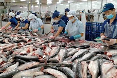 Sau khi sụt giảm sâu, xuất nhập khẩu lấy lại đà tăng tốc