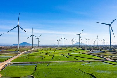 Việt Nam có nhiều thế mạnh để chuyển đổi xanh