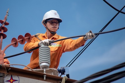 Điểm nghẽn lớn nhất là giá điện