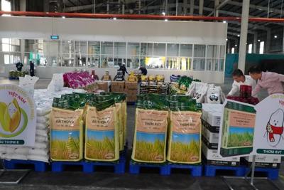 Duy trì nguồn cung và chất lượng gạo xuất khẩu