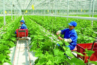 Thúc đẩy tăng trưởng xanh hướng đến thịnh vượng về kinh tế, bền vững về môi trường
