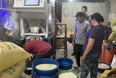 Phát hiện hộ kinh doanh gạo "Séng cù xanh" nhuộm từ lá dứa