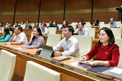 Đánh giá kỹ lưỡng dự án Luật Bảo hiểm xã hội (sửa đổi) để đảm bảo tính khả thi