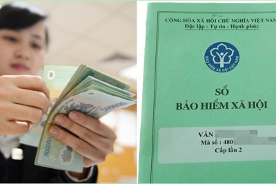Thực hiện chi phí quản lý bảo hiểm xã hội, bảo hiểm thất nghiệp hiệu quả, đúng quy định Thực hiện chi phí quản lý bảo hiểm xã hội, bảo hiểm thất nghiệp hiệu quả, đúng quy định