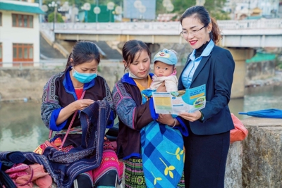 Xây dựng kịch bản phát triển người tham gia bảo hiểm xã hội, bảo hiểm y tế