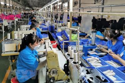 Năm 2023, khoảng 39,25% lao động trong độ tuổi tham gia bảo hiểm xã hội