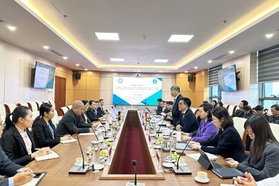 Thúc đẩy quan hệ hợp tác trong lĩnh vực an sinh xã hội