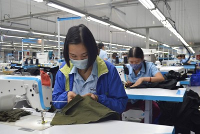 Nhân rộng hệ thống tích hợp cải tiến năng suất, chất lượng cho doanh nghiệp