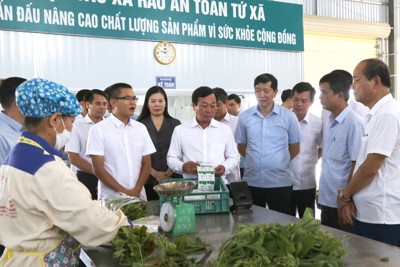 Nhiều doanh nghiệp nâng cao sức cạnh tranh nhờ cải thiện năng suất