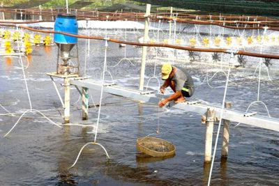 Hỗ trợ doanh nghiệp nâng cao năng suất, chất lượng tại Kiên Giang