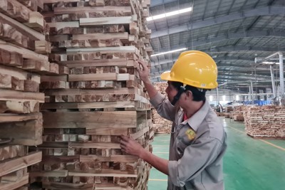 Cạnh tranh khốc liệt, doanh nghiệp ngành gỗ dồn lực tăng năng suất