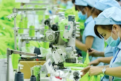 Doanh nghiệp đối mặt với thách thức nào khi áp dụng  ISO 45001?