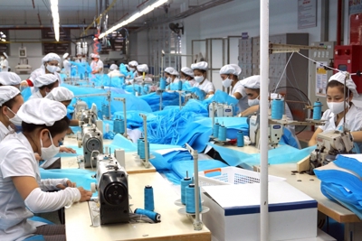 Tăng cường tính chủ động trong nâng cao năng suất