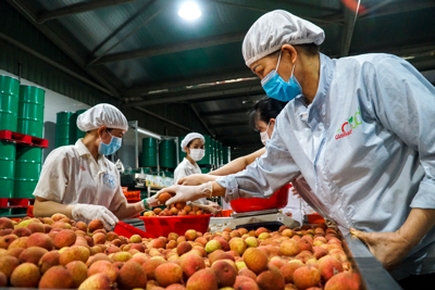 Vì sao doanh nghiệp cần quản chặt chất lượng sản phẩm?