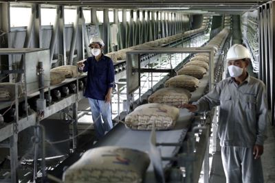 Ngành xi măng gia tăng cạnh tranh bằng nâng cao năng suất