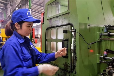 Loạt doanh nghiệp địa phương được hỗ trợ nâng cao năng suất 