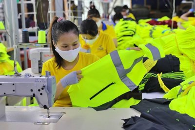 Bí quyết kết hợp công cụ cải tiến và hệ thống quản lý hiệu quả