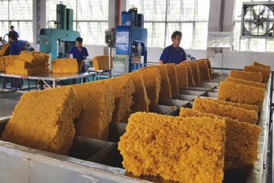 Ngành Cao su chú trọng nâng chất lượng, tăng sức cạnh tranh