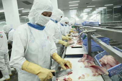 Áp dụng KRI: Muốn thành công, lãnh đạo phải có quyết tâm cao