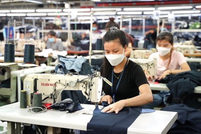 Doanh nghiệp lợi đủ đường khi áp dụng Tiêu chuẩn ISO 26000 và SA 8000