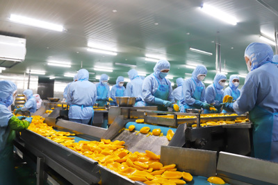 Làm sao để đánh giá QMS đã hiệu quả với doanh nghiệp hay chưa?