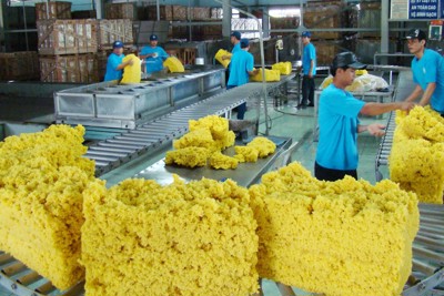 Doanh nghiệp cao su tích cực áp dụng 5S