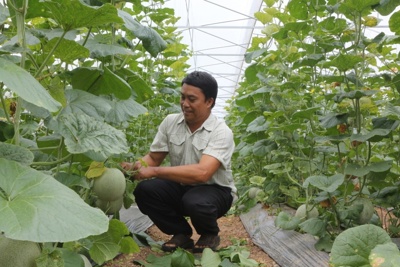 Doanh nghiệp, hợp tác xã tăng tốc nâng cao năng suất, chất lượng