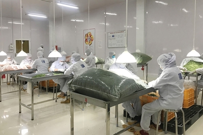 Tỉnh Lâm Đồng: Cải thiện chất lượng đề án khuyến công