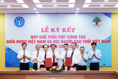 Thực hiện hiệu quả chính sách bảo hiểm xã hội, bảo hiểm y tế cho người cao tuổi