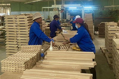 3 lợi ích nổi bật khi áp dụng mô hình nhóm huấn luyện