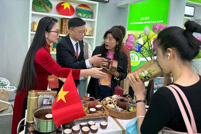 Khuyến công Thái Nguyên góp phần nâng cao giá trị sản phẩm chè