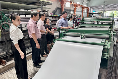 Thúc đẩy công nghiệp nông thôn phát triển bền vững thông qua các hoạt động khuyên công