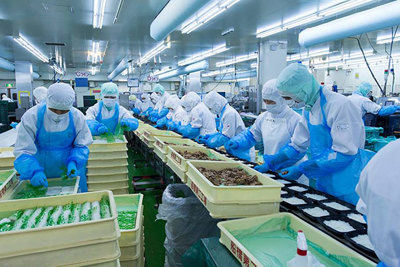 Áp dụng ISO 22000, doanh nghiệp được lợi gì?