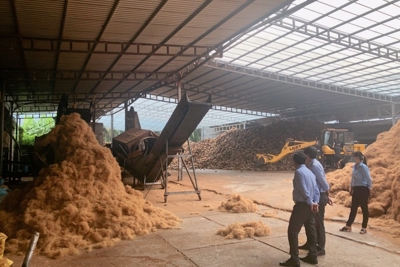 Triển khai các đề án khuyến công năm 2024 đảm bảo tiến độ và hiệu quả