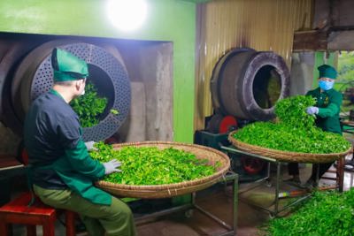  Gỡ “nút thắt” trong nâng cao năng suất cho doanh nghiệp công nghiệp nông thôn