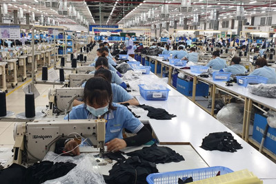 Tích cực hỗ trợ doanh nghiệp nâng cao năng suất, chất lượng