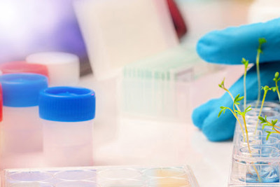 Những yêu cầu trong áp dụng tiêu chuẩn GMP HS