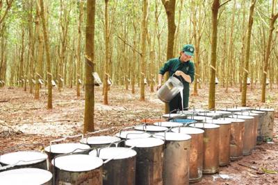 Tiết kiệm được hàng tỷ đồng nhờ áp dụng Hệ thống quản lý năng lượng ISO 50001:2011 Tiết kiệm được hàng tỷ đồng nhờ áp dụng Hệ thống quản lý năng lượng ISO 50001:2011