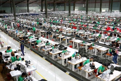 Vì sao doanh nghiệp nên áp dung bộ tiêu chuẩn BSCI?